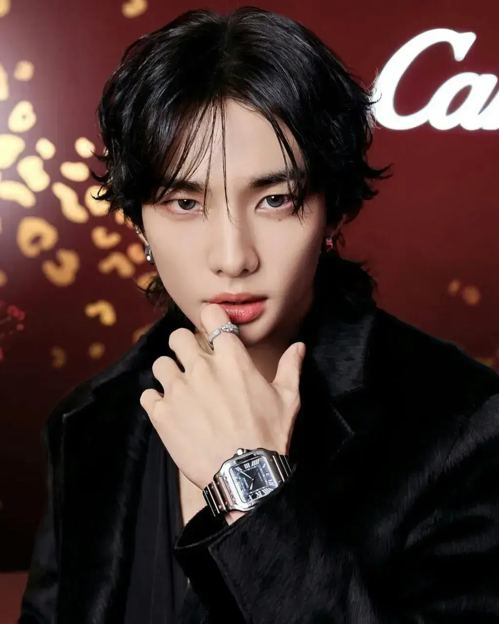 HYUNJIN'S CARTIER ERA IS SETTLING IN FOR THE LONG RUN — image 1